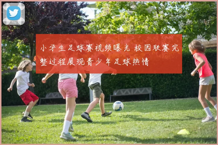 小学生足球赛视频曝光 校园联赛完整过程展现青少年足球热情