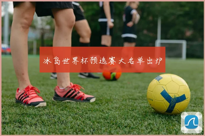冰岛世界杯预选赛大名单出炉
