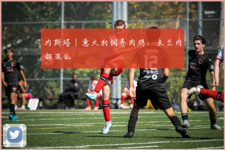内斯塔丨意大利饲养肉鸡，米兰内部混乱
